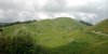 IMG_20210713_124600_657.jpg