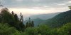 IMG_20210713_172526_893.jpg