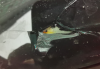 008.png