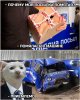 230535_9_trinixy_ru.jpg