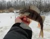 IMG_20221203_102626.jpg