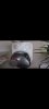 Screenshot_20230616_173500_Gallery.jpg