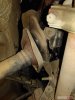 IMG_20170523_151520.jpg