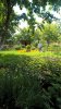 WP_20170624_09_54_51_Pro[1].jpg | Рено Каптур Клуб Россия | Форум KAPTUR.SU