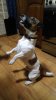 20161019_231746.jpg