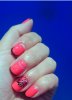 _20161020_235952.JPG