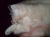 DSC01793.JPG
