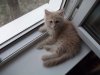 DSCF0368.jpg