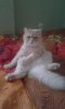 20160622_144238.jpg