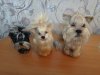 DSC00669.JPG