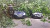 DSC_0014.JPG