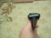 IMG_20161201_185550.jpg
