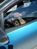 IMG_20170711_135156.jpg