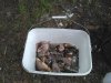 IMG_2017-07-17_133147.jpg