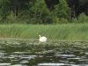 IMG_2017-07-16_175809.jpg