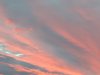 IMG_2017-07-14_215340.jpg