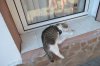 DSC_0151.JPG | Рено Каптур Клуб Россия | Форум KAPTUR.SU