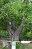 DSC_0386.JPG | Рено Каптур Клуб Россия | Форум KAPTUR.SU