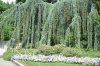 DSC_0645.JPG | Рено Каптур Клуб Россия | Форум KAPTUR.SU
