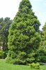 DSC_0682.JPG | Рено Каптур Клуб Россия | Форум KAPTUR.SU