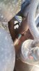 20170802_075658.jpg