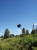 IMG_20170731_113622.jpg