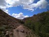IMG_20170806_094328.jpg