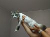 IMG_2017-08-06_204658.jpg
