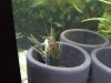 IMG_2017-08-08_233407.jpg