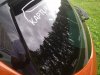IMG_20170810_113819.jpg