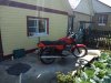 IMG_20170802_114510.jpg