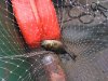 IMG_20170826_105237.jpg