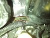 P_20170831_105554.jpg