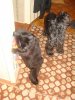 DSC08485.JPG
