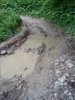 20170912_152832.jpg | Рено Каптур Клуб Россия | Форум KAPTUR.SU