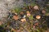 DSC_2408.JPG | Рено Каптур Клуб Россия | Форум KAPTUR.SU