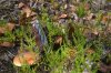 DSC_2409.JPG | Рено Каптур Клуб Россия | Форум KAPTUR.SU