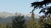 IMG-20170913-WA0036.jpg
