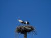 CIMG0207.JPG | Рено Каптур Клуб Россия | Форум KAPTUR.SU