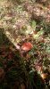 WP_20170916_09_46_17_Pro.jpg