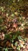 WP_20170916_09_52_30_Pro.jpg
