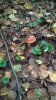 WP_20170916_09_56_23_Pro.jpg