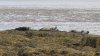102-CRlImIR6yAw.jpg | Рено Каптур Клуб Россия | Форум KAPTUR.SU