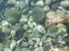 20170918_164130.jpg
