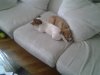 20110920_122522.jpg