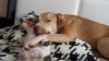 20130621_100044.jpg