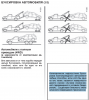 4wd.png | Рено Каптур Клуб Россия | Форум KAPTUR.SU