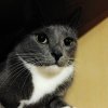 2017-01-11 21-00-03_1499508932.JPG
