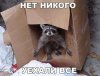 ЛАФ6756ьт.jpg