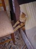 IMG_20170922_104905.jpg